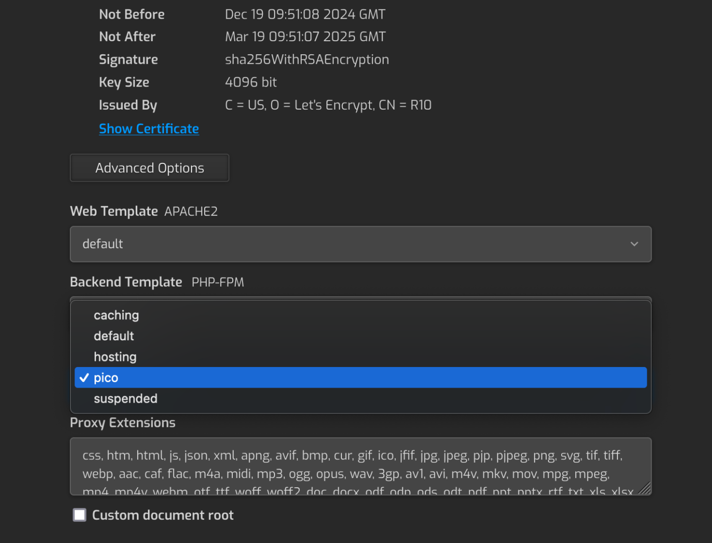 Switch Nginx template in Hestia advanced options